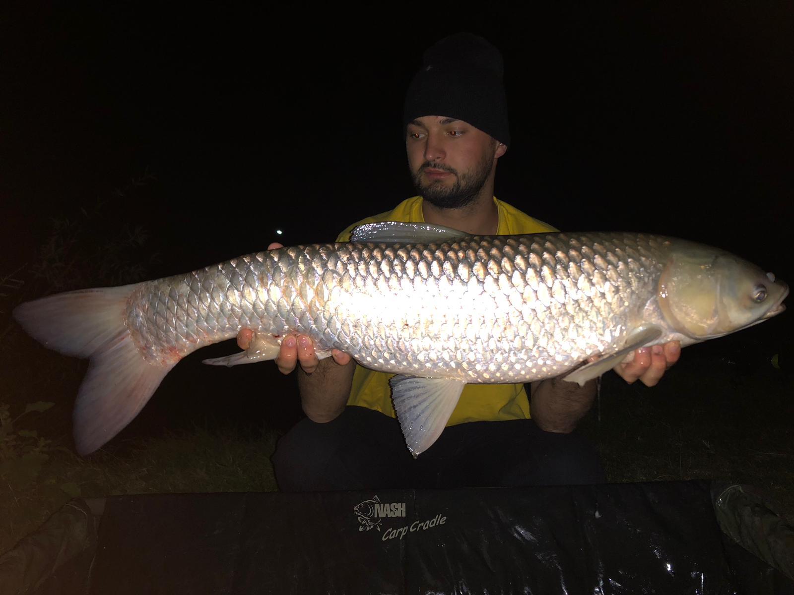 Păușești - eee.jpg